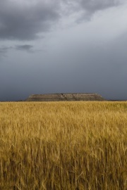 Contrasti naturali