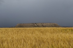 Contrasti naturali