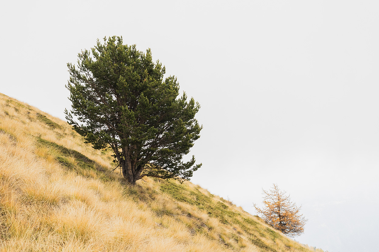 Raccontare la Natura in Autunno